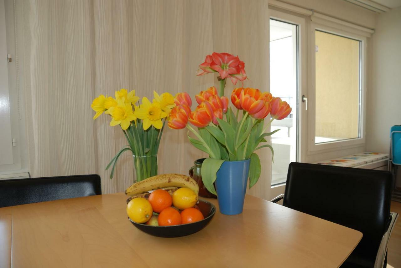 Ferienwohnung Schaap-Mueller Andermatt Εξωτερικό φωτογραφία